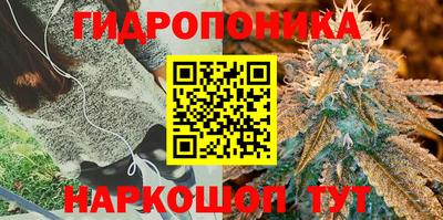 метадон Партизанск