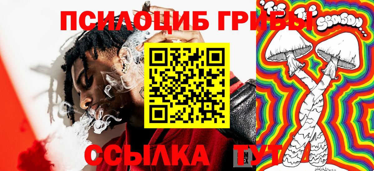 Псилоцибиновые грибы GOLDEN TEACHER  Вход с VPN  Усолье-Сибирское 